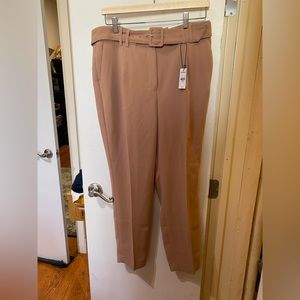Express Tan Professional Pleated Pants